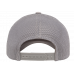 Кепка FlexFit 6606 Retro Trucker - Silver